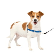 PetSafe Easy Walk Dog Harness, No Pull Leash, prevents from Choking on Walks, Royal Blue, S