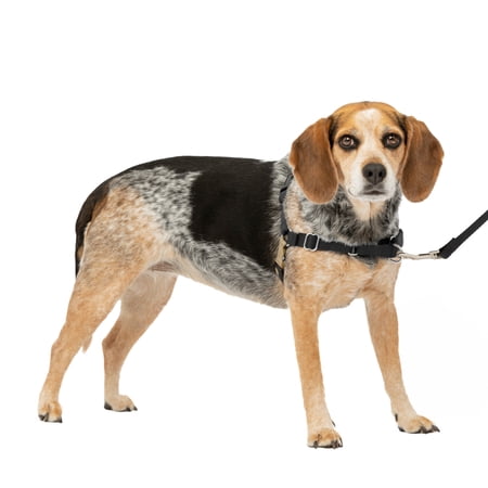 PetSafe Easy Walk No-Pull Dog Harness Small/Medium, Black