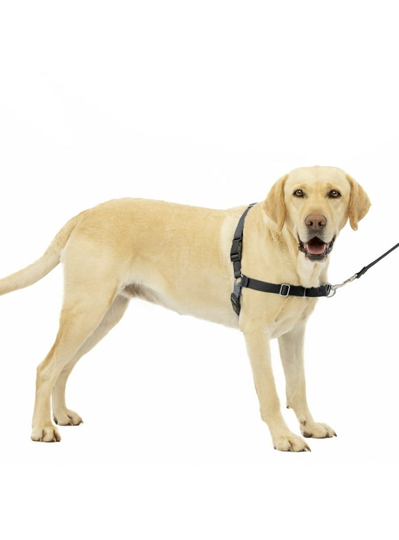 PetSafe Easy Walk No-Pull Leash Training Dog Harness, Large, Charcoal Grey