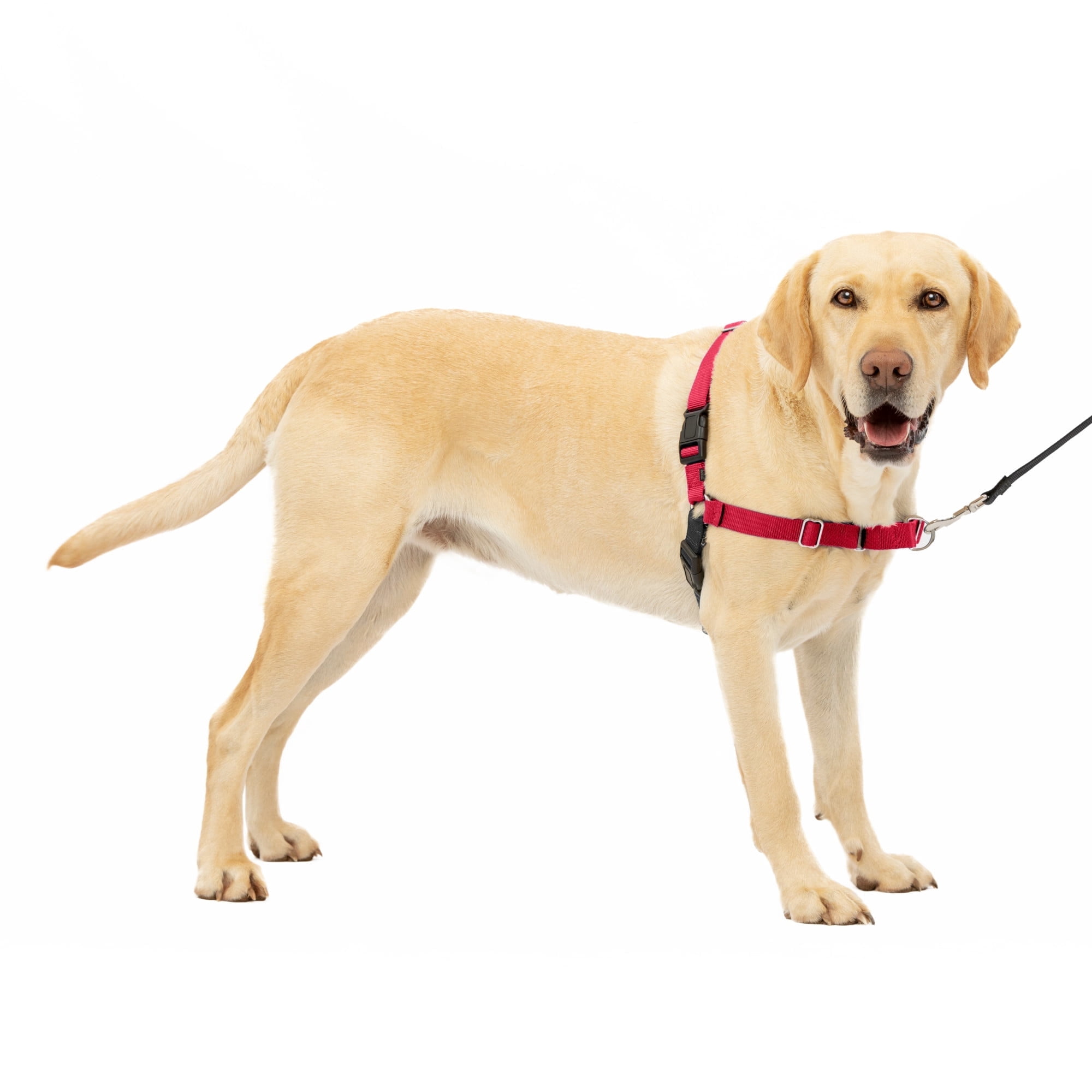 PetSafe Easy Walk Dog Harness, No Pull Leash, prevents from Choking on Walks, Red, L