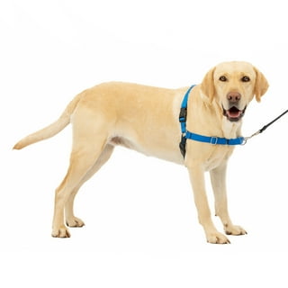 Help em up harness petsmart cheap