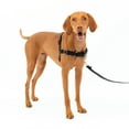 thumbnail image 1 of PetSafe Easy Walk No-Pull Leash Training Dog Harness, Medium, Charcoal Grey, 1 of 7