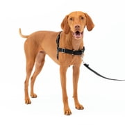 PetSafe Easy Walk No-Pull Leash Training Dog Harness, Medium, Charcoal Grey