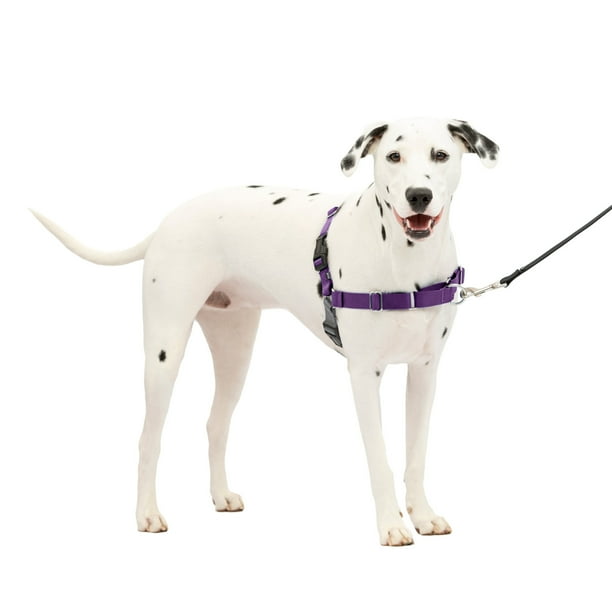 PetSafe Easy Walk No Pull Leash Training Dog Harness Medium Large Deep Purple Walmart Business Supplies