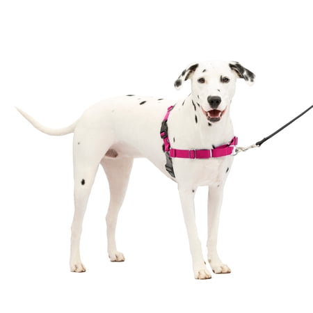 PetSafe Easy Walk No-Pull Leash Training Dog Harness, Medium/Large, Raspberry