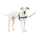 thumbnail image 1 of PetSafe Easy Walk Dog Harness, No Pull Leash, prevents from Choking on Walks, Royal Blue, M/L, 1 of 7