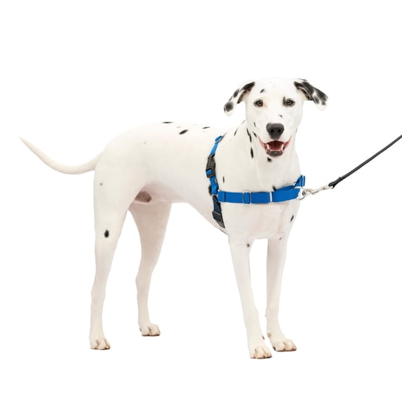 PetSafe Easy Walk Dog Harness, No Pull Leash, prevents from Choking on Walks, Royal Blue, M/L