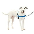 thumbnail image 1 of PetSafe Easy Walk No-Pull Leash Training Dog Harness, Medium/Large, Royal Blue, 1 of 7