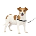 thumbnail image 1 of PetSafe Easy Walk No-Pull Dog Harness Perfect for Leash & Harness Training, 1 of 7
