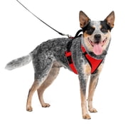 PetSafe EasySport Dog Harness | Great for Runs, Walks, and Hikes | Comfy