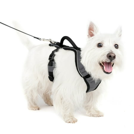 PetSafe EasySport Dog Harness, Great for Runs, Walks, and Hikes, Comfy
