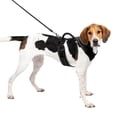 thumbnail image 1 of PetSafe EasySport Dog Harness, Adjustable, Padded and Reflective Piping, Large, Black, 1 of 7