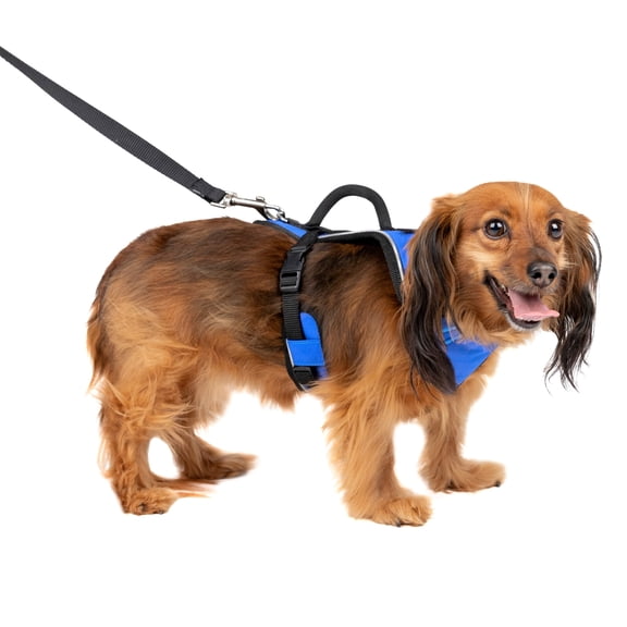 PetSafe EasySport Dog Harness | Great for Runs, Walks, and Hikes | Comfy