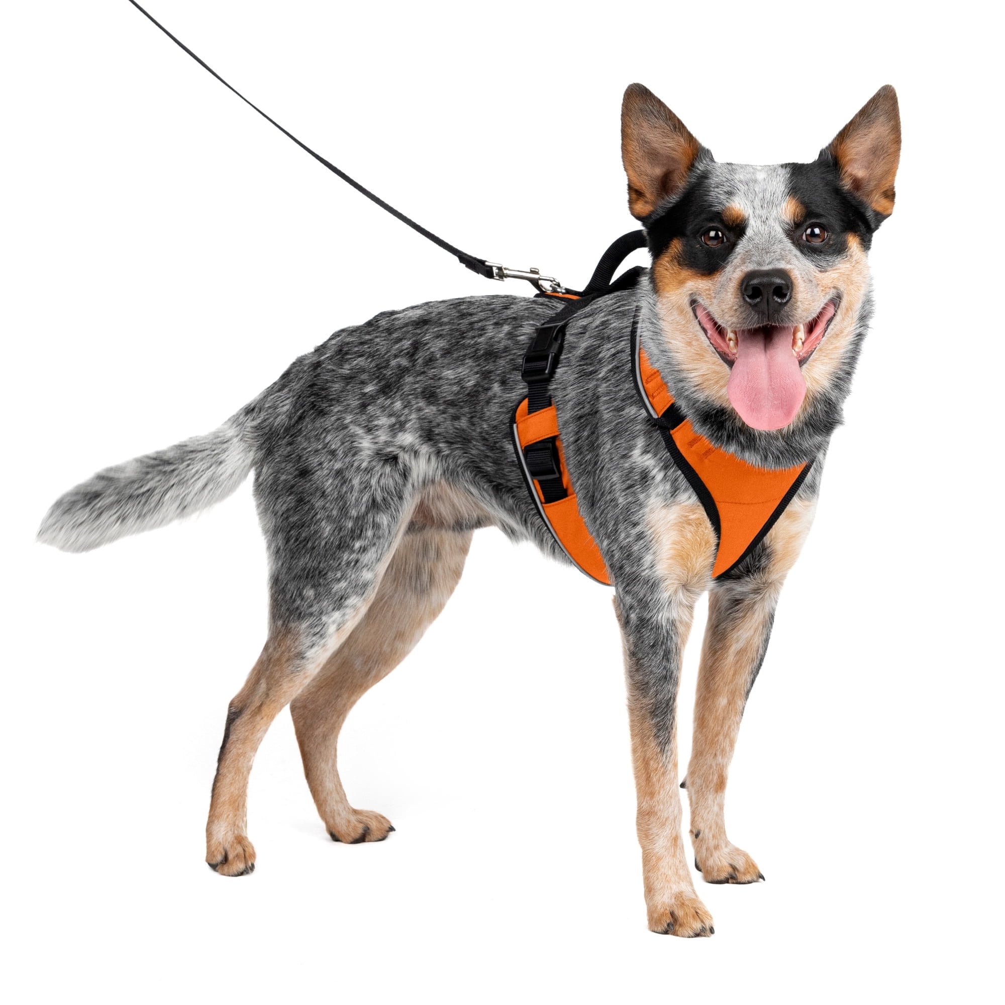 PetSafe EasySport Dog Harness | Great for Runs, Walks, and Hikes | Comfy