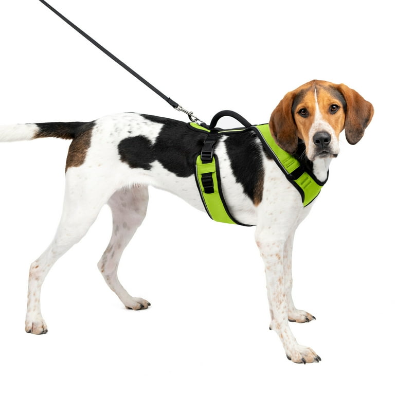 Easy sport dog harness hotsell