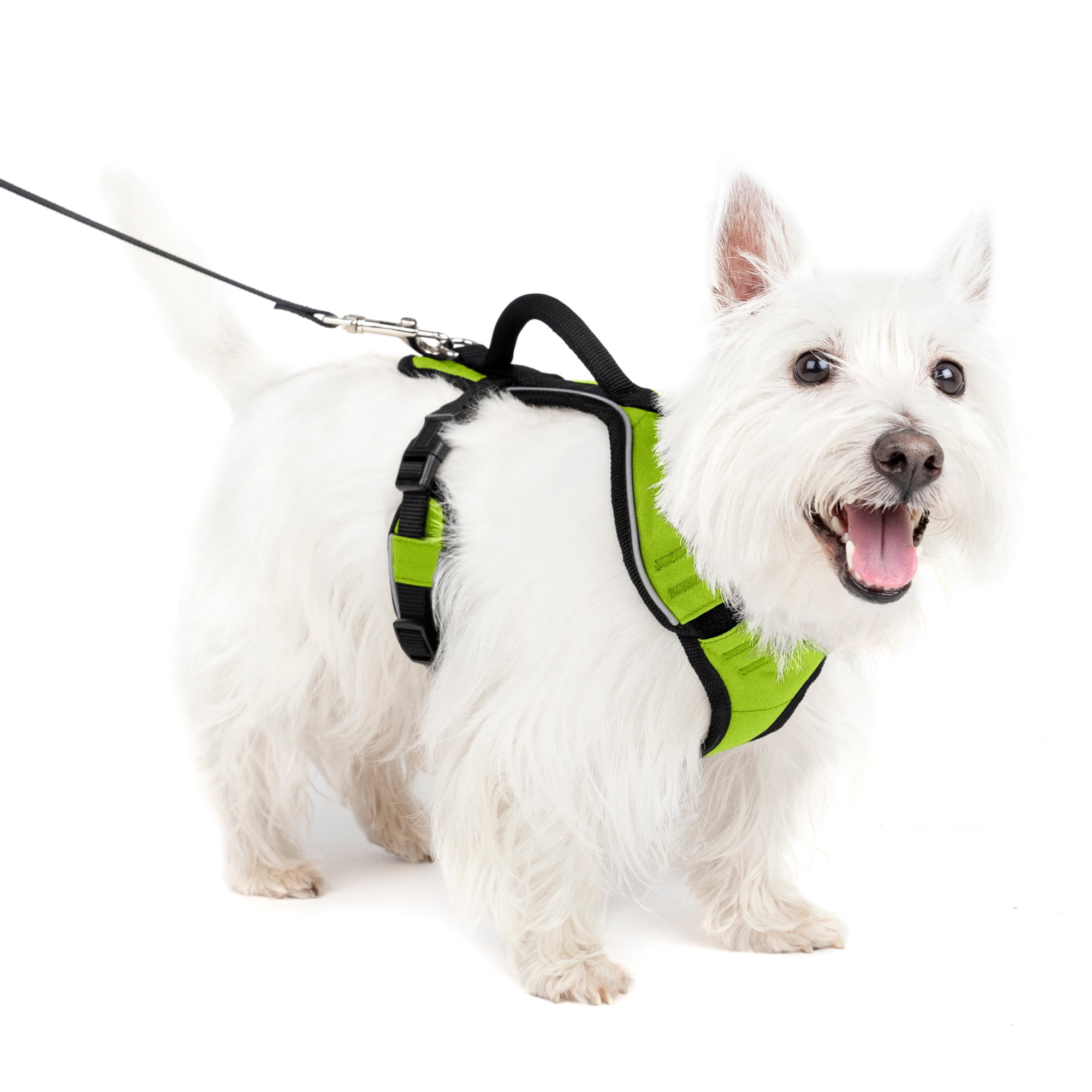 PetSafe Harness Easysport Apple Small