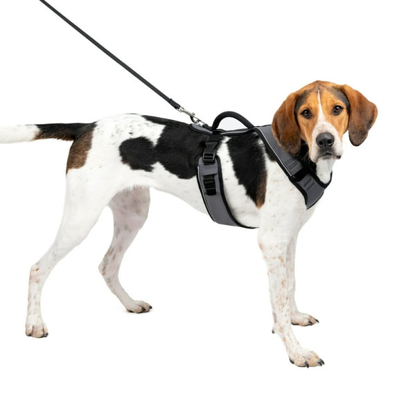 PetSafe EasySport Dog Harness | Great for Runs, Walks, and Hikes | Comfy