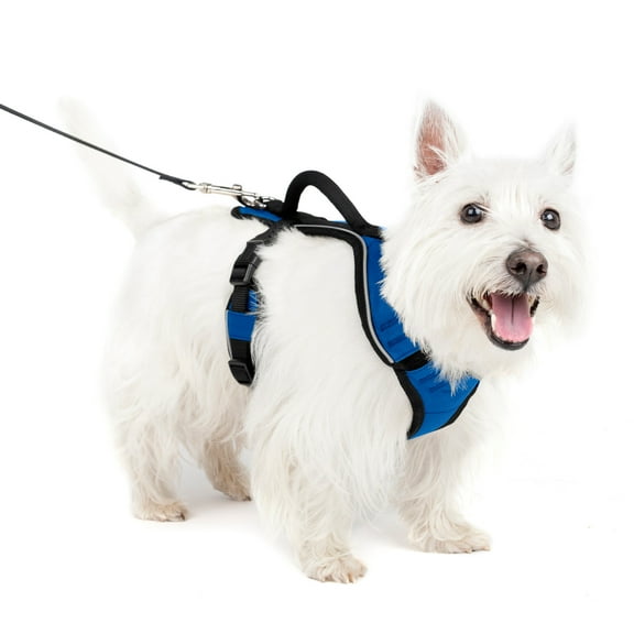PetSafe EasySport Dog Harness | Great for Runs, Walks, and Hikes | Comfy