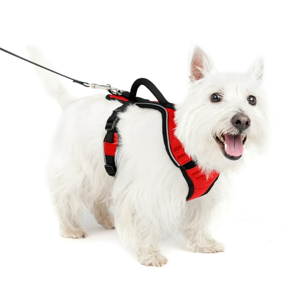PetSafe EasySport Dog Harness | Great for Runs, Walks, and Hikes | Comfy
