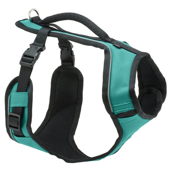 PetSafe EasySport Harness, Fully Adjustable, Top Handle for Quick Control, M, Teal