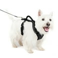 thumbnail image 1 of PetSafe EasySport Dog Harness | Great for Runs, Walks, and Hikes | Comfy, 1 of 7