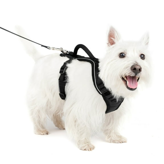 PetSafe EasySport Dog Harness | Great for Runs, Walks, and Hikes | Comfy