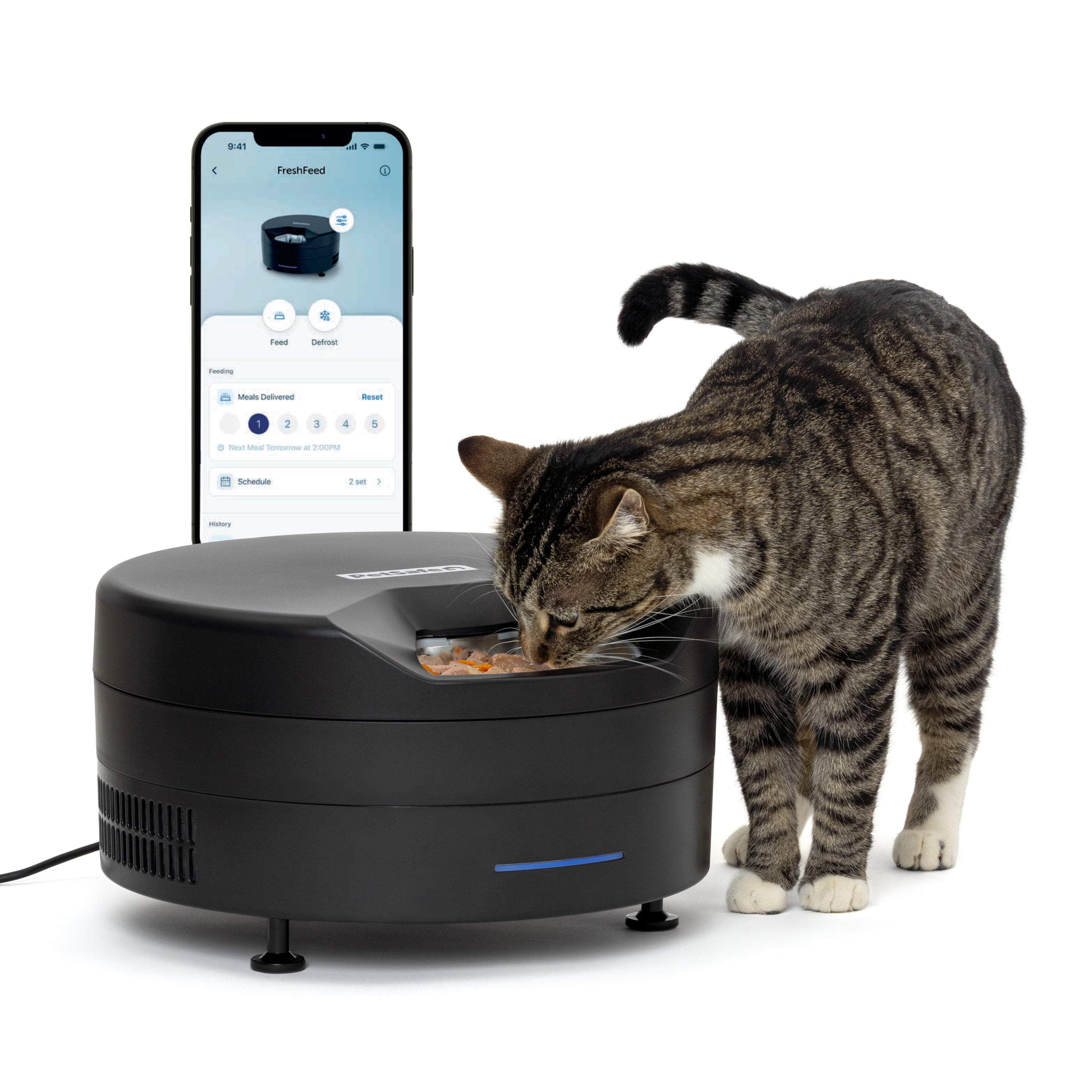 PetSafe FreshFeed Refrigerated Pet Feeder – Automatic Wet Food Feeder for Cats & Small Dogs – App Control – 6 Fresh Meals – Stainless Steel Inserts – Black