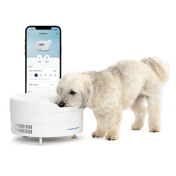 PetSafe FreshFeed Refrigerated Pet Feeder Automatic Wet Food Feeder for Cats & Small Dogs App Control 6 Fresh Meals Stainless Steel Inserts White