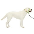 thumbnail image 1 of PetSafe Gentle Leader Dog Collar, Large, Apple Green, 1 of 8