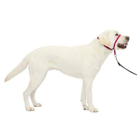PetSafe Gentle Leader Headcollar, No-Pull Dog Collar, Large 60-130 lb, Raspberry