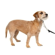 PetSafe Gentle Leader Headcollar, No-Pull Dog Collar, Stops Pets from Pulling on Walks