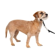 PetSafe Gentle Leader Headcollar, No-Pull Dog Collar, Small Up to 25 Lb., Black