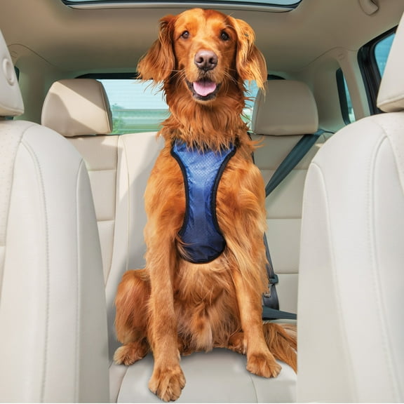 PetSafe Happy Ride Safety Harness for Dogs, Comfortable and Durable, Large