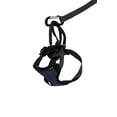 thumbnail image 1 of PetSafe Happy Ride Safety Harness for Dogs, Comfortable and Durable, Medium, 1 of 3