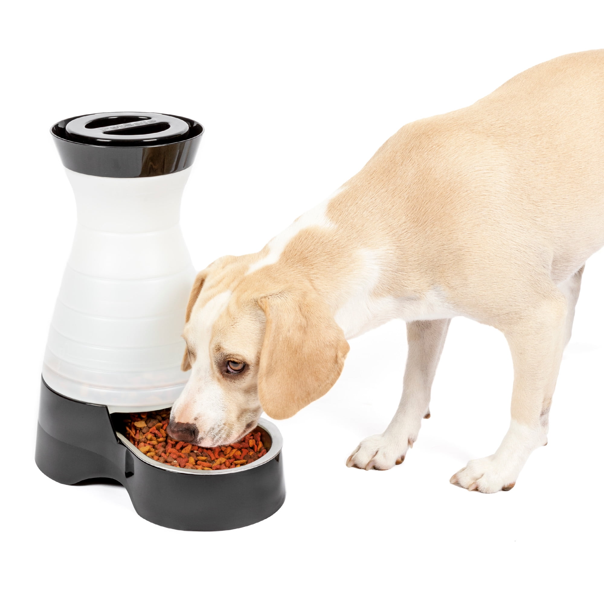 PetSafe Busy Buddy Kibble Nibble Treat Dispenser Dog Toy