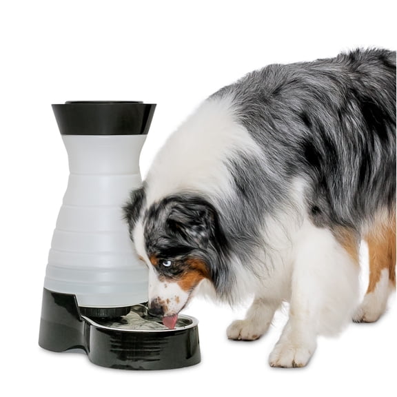 PetSafe Healthy Pet Water Station, Dog and Cat Water System with Stainless Steel Bowl, Large, 320 oz.