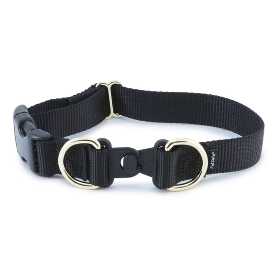 PetSafe KeepSafe Break-Away Dog Collar, Black, 3/4 in Wide, Medium | Break-Away Buckle Releases Under Pressure for 24/7 Protection, Adjustable Fit, Durable Nylon, Fits Necks 14 - 20 in