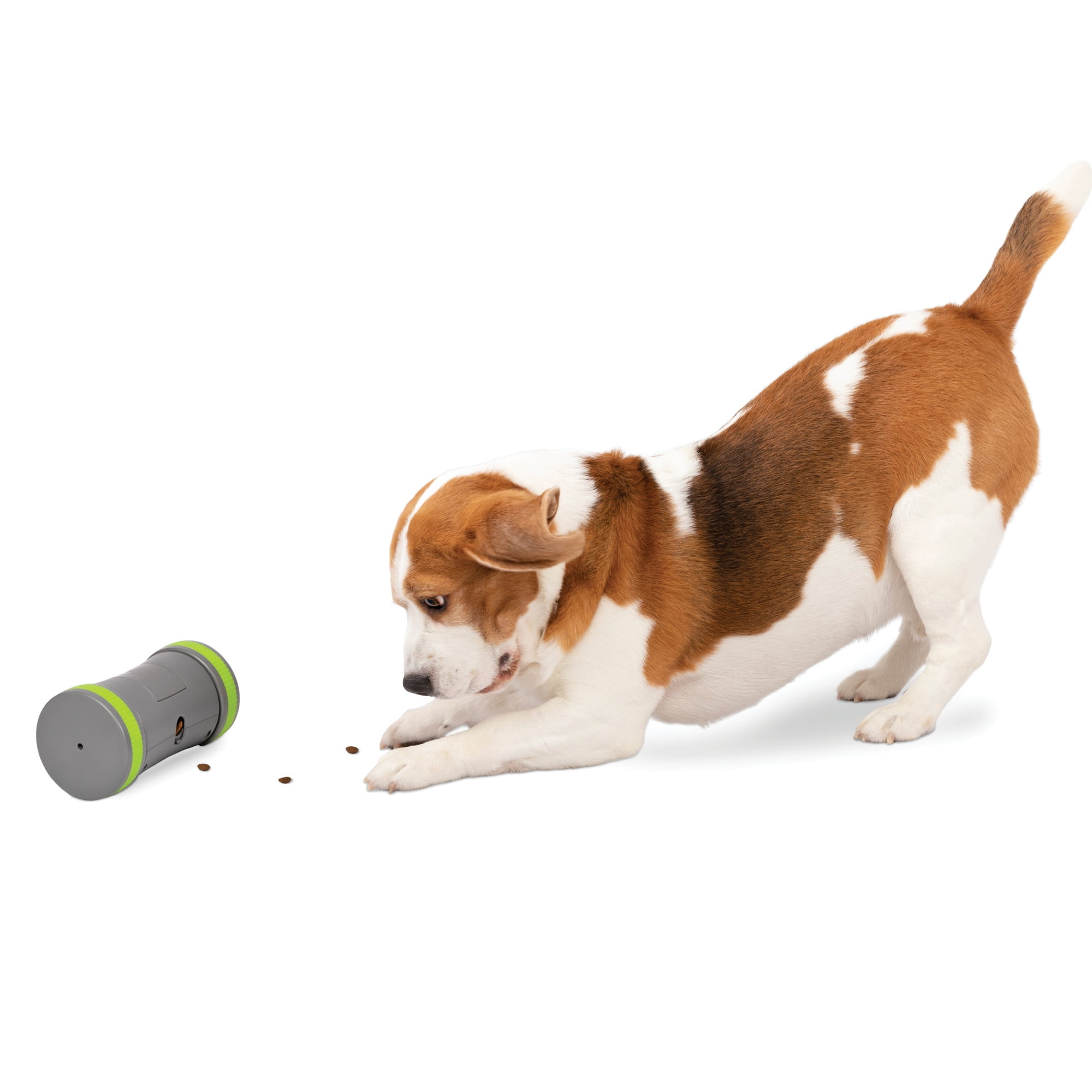 Gray and Green Plastic Interactive Dog Treat Dispenser
