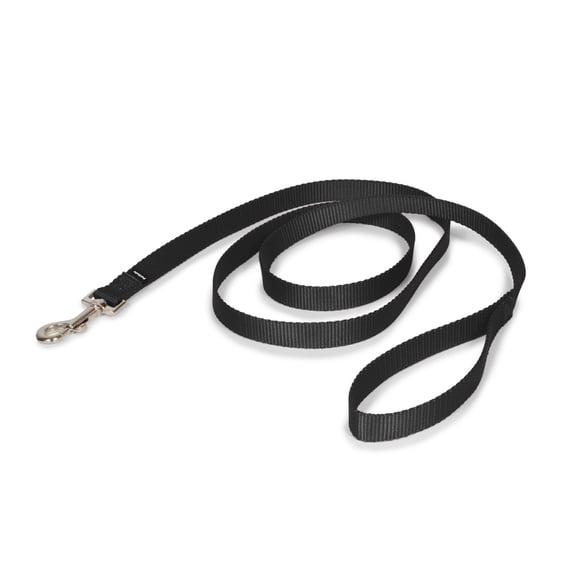 PetSafe Nylon Dog Leash, Strong, Durable, Traditional Style Leash, Med and Lg Dogs 3/4" x 6', Black