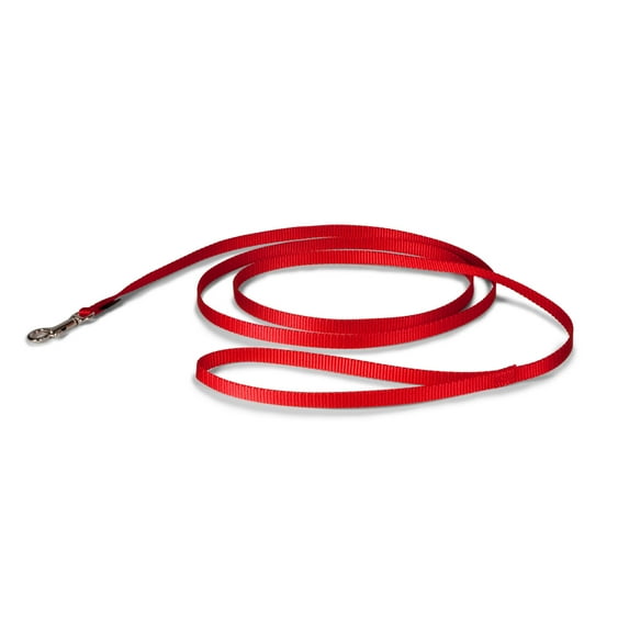 PetSafe Nylon Dog Leash, Strong, Durable, Traditional Style with Bolt Snap, 3/8" x 6' Red