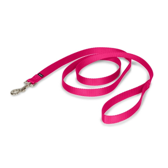 PetSafe Nylon Dog Leash, Strong, Durable, Traditional Style with Bolt Snap, 3/4" x 6' Raspberry