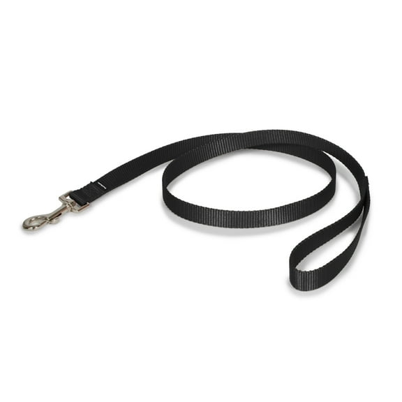 PetSafe Nylon Dog Leash, Strong, Durable, Easy to Use Bolt Snap, 3/4" x 4', Black