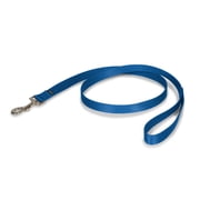 PetSafe Nylon Dog Leash, Strong, Durable, Easy to Use Bolt Snap, 3/4" x 4', Royal Blue
