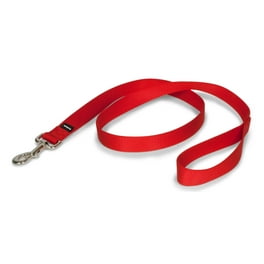 PetSafe Nylon Dog Leash, Durable, Includes Easy to Use Bolt Snap