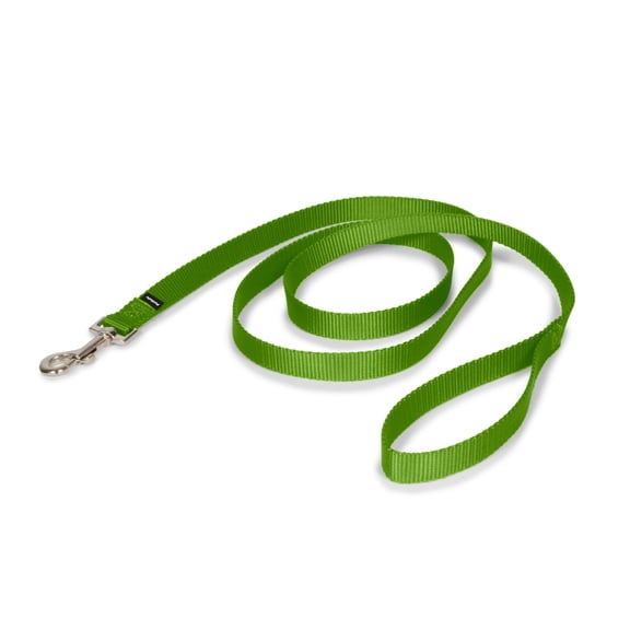 PetSafe Nylon Dog Leash, Strong, Durable, Traditional Style with Bolt Snap, 3/4" x 6' Apple