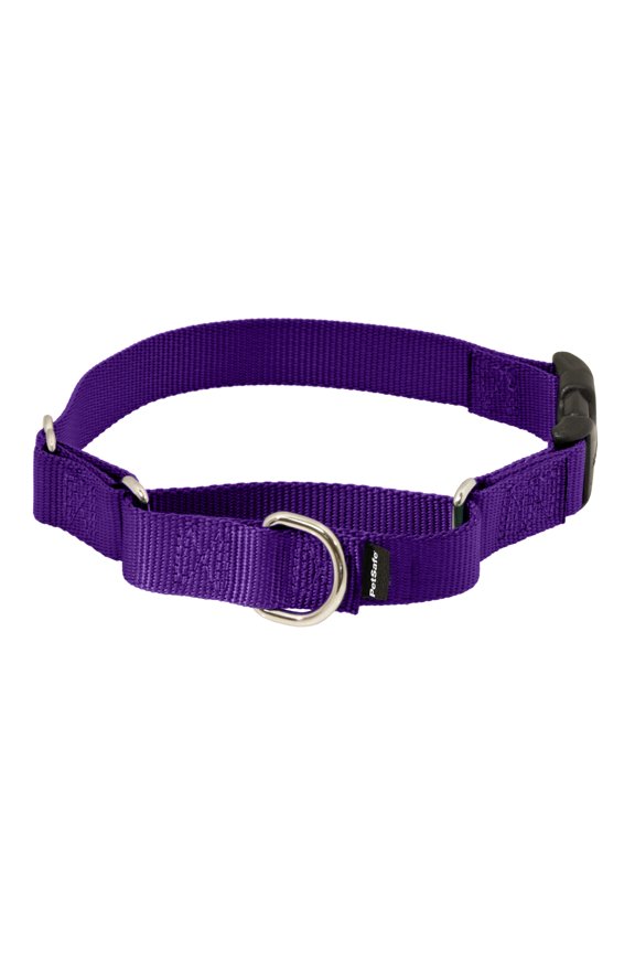 Martingale Collar with Quick Snap Buckle