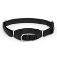 thumbnail image 1 of PetSafe Martingale Collar with Quick Snap Buckle, 1 of 6