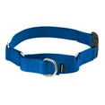 thumbnail image 1 of PetSafe Martingale Collar with Quick Snap Buckle, 1 of 6