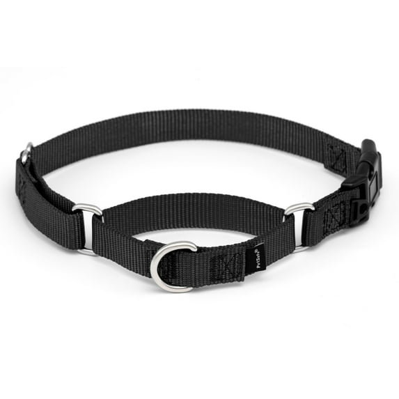 PetSafe Martingale Collar with Quick Snap Buckle