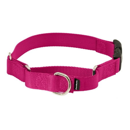 PetSafe Martingale Collar with Quick Snap Buckle, 1" Medium, Raspberry